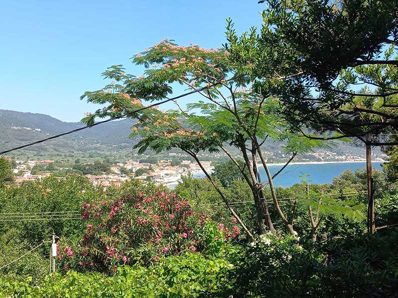 Triple room 1 - View at the sea and the garden