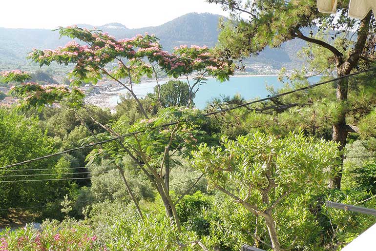 Lush vegetation at Villa Dimitra in Thassos