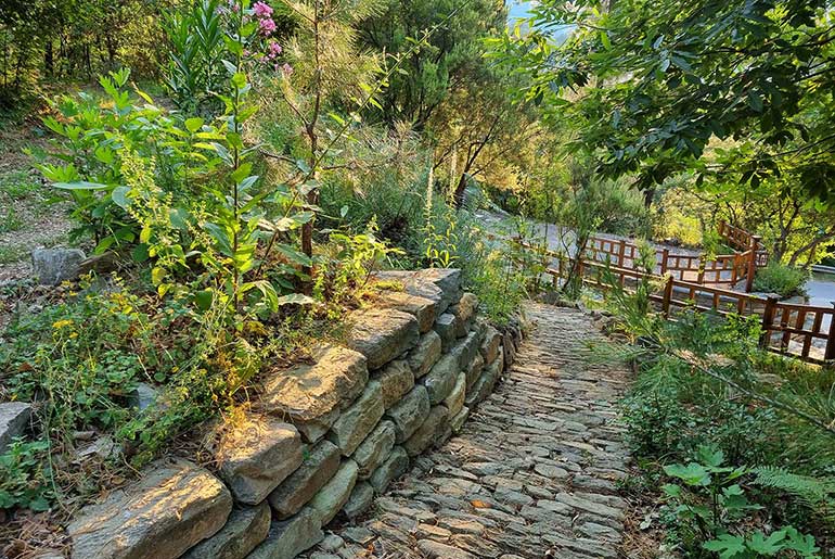 Stone path in the surrounding area at Villa Dimitra