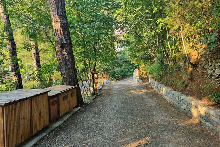 Lush vegetation in the outdoor areas of Villa Dimitra