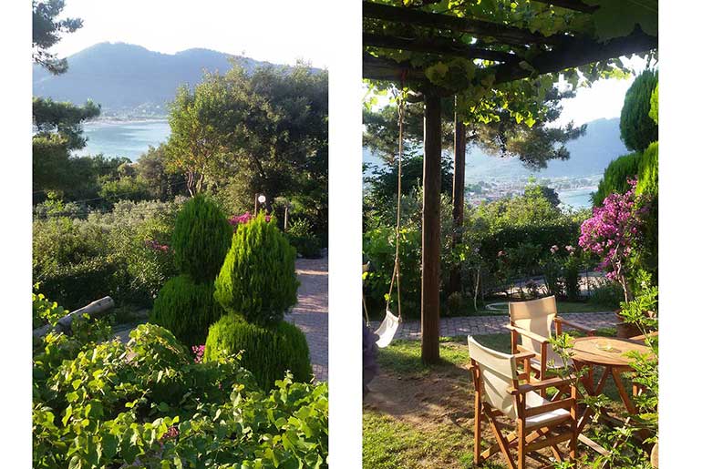 Lush vegetation in the outdoor areas of Villa Dimitra