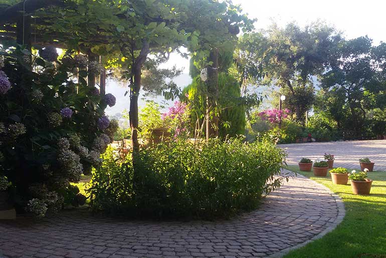 Outdoor areas and stone walkways