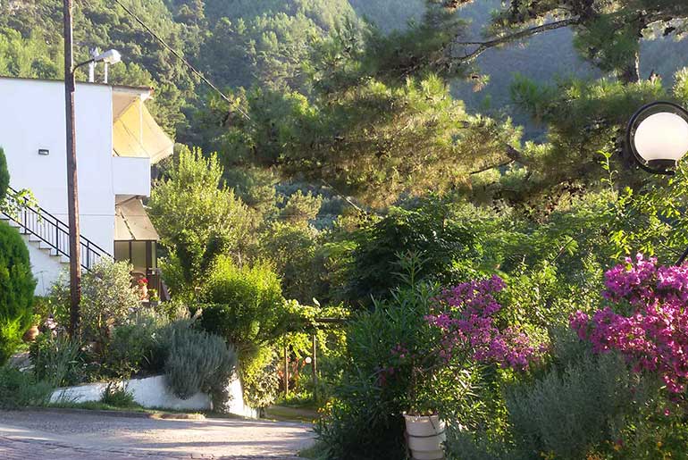 Villa Dimitra in Thassos