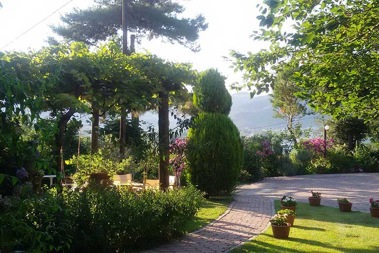 Outdoor areas and stone walkways