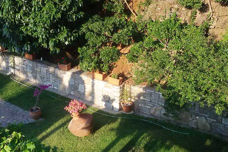 Outdoor areas at Villa Dimitra in Thassos